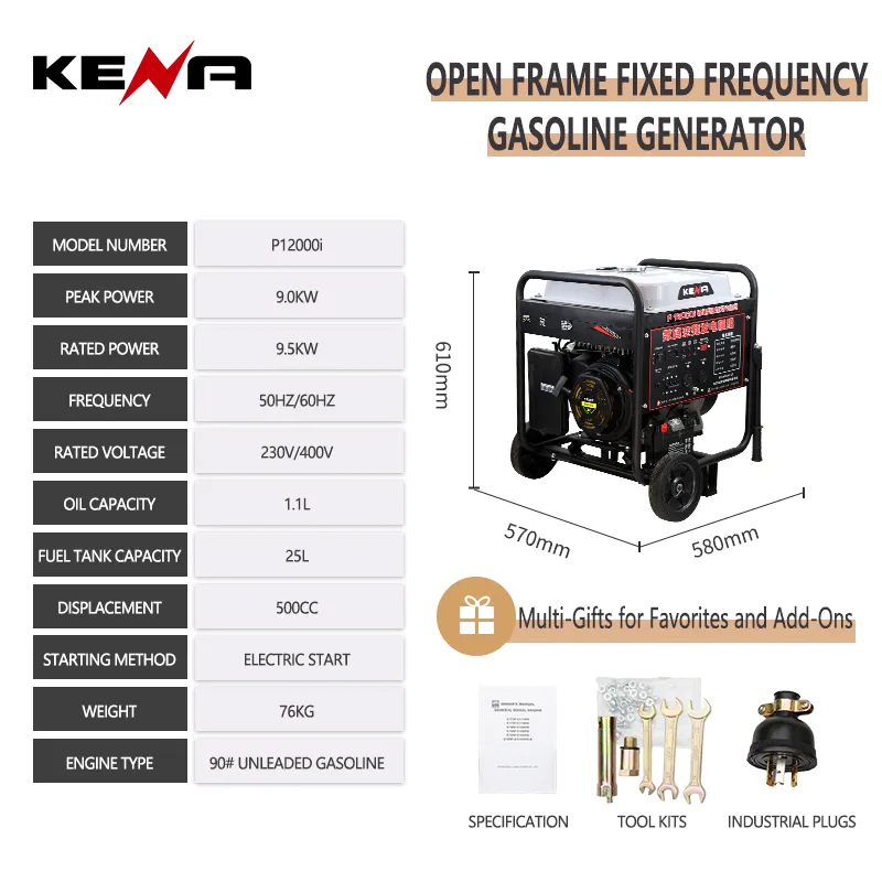 Переносной сварочный аппарат с бензиновым двигателем 12000I (6)