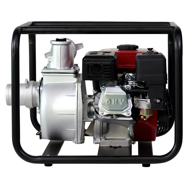 Самовсасывающий центробежный насос с бензиновым двигателем мощностью 7 л (1)